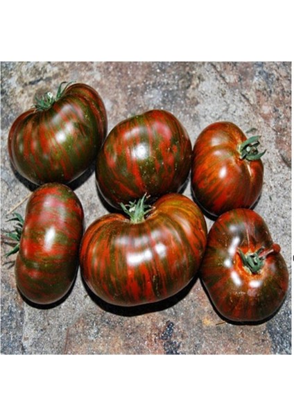 20 Adet Dev Kahverengi Domates Tohumu