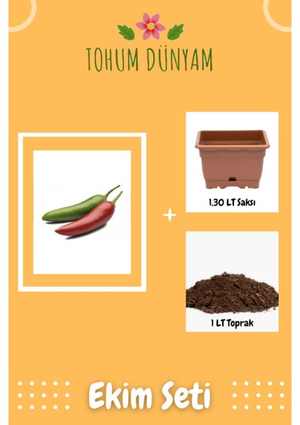 Ithal Jalapeno Kırmızı Acı Meksika Biberi Tohumu Ekim Seti
