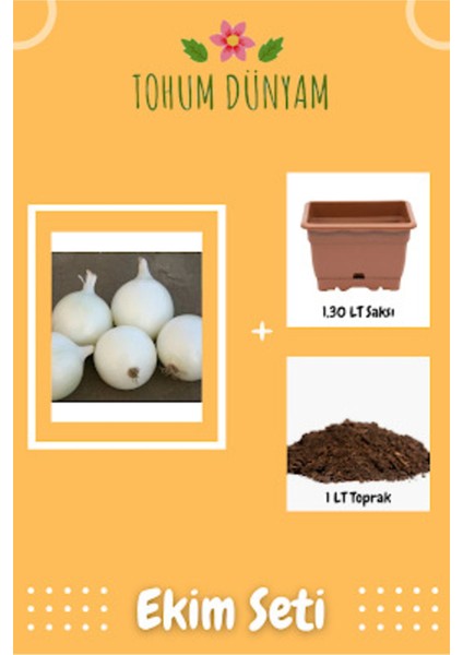 Beyaz Soğan Tohumu Ekim Seti
