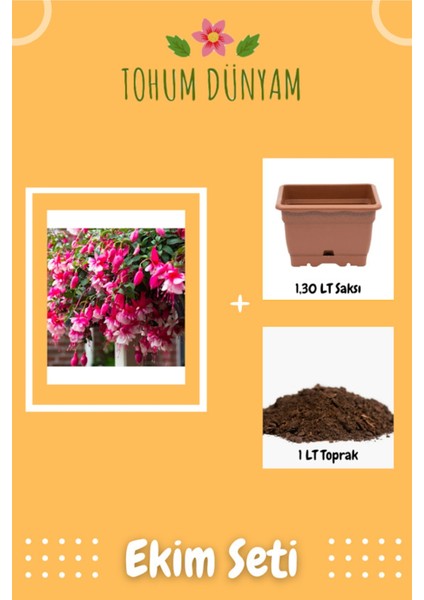 Küpe Çiçeği Pembe Tohumu Ekim Seti