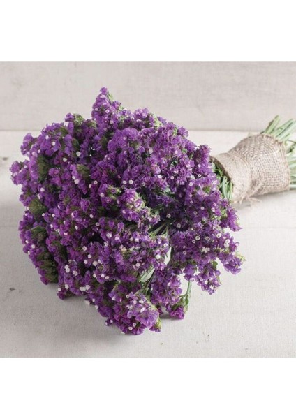 Mürdüm Deniz Lavantası Lımonıum Çiçek Tohumu 10 15 Adet