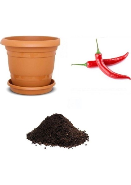 Meşhur Acı Hatay Biberi Tohumu Ekim Seti