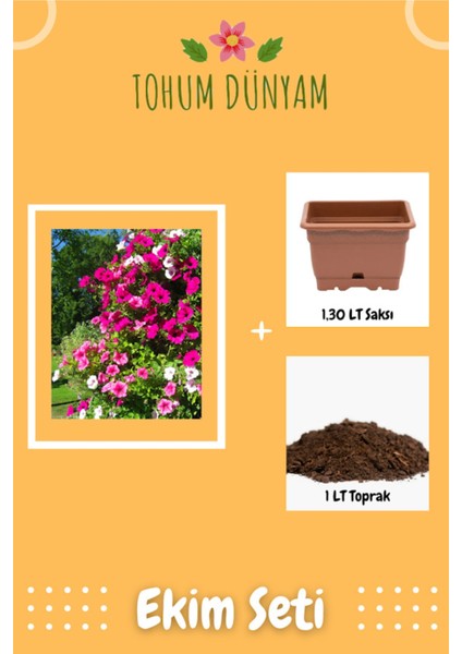 Petunya Çiçek (Çift Yaprak Doğal Dolgun) Tohumu Ekim Seti