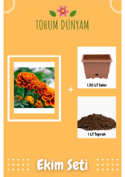 Karagöz Kadife Çiçeği Tohumu Ekim Seti