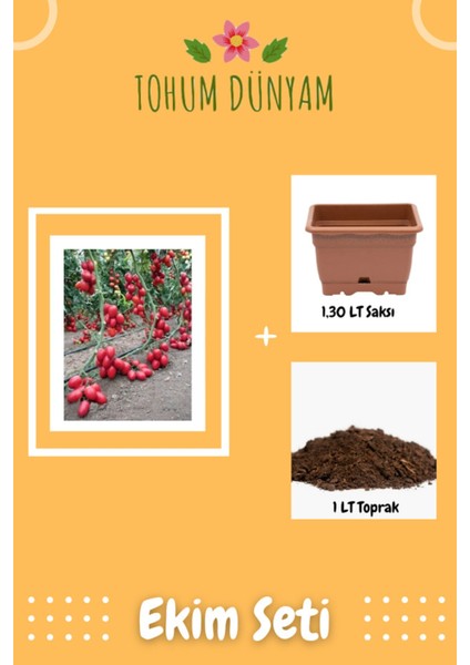 Zeytin Cherry Domates Tohumu Ekim Seti