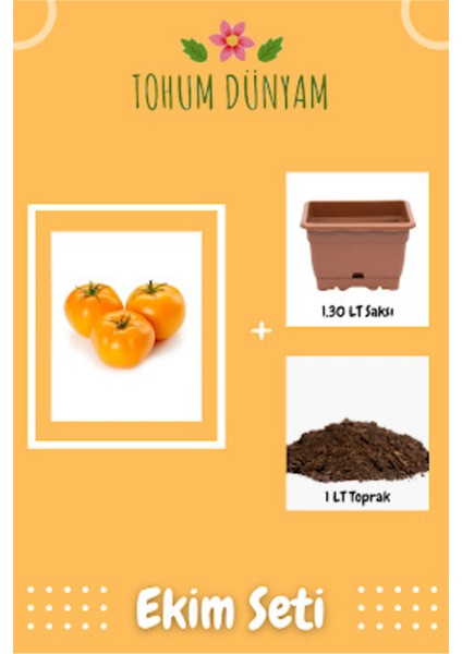 Nadir Ithal Iri Turuncu Domates Tohumu Ekim Seti