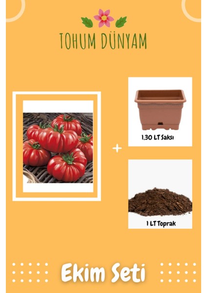 Italyan Domates Tohumu Ekim Seti