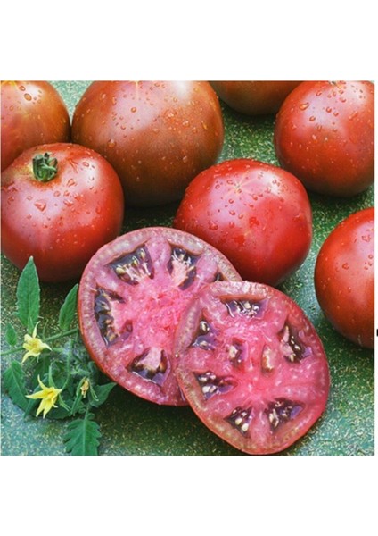 Siyah Prens Domates Tohumu