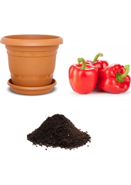 Nadir Acı Kırmızı Dolmalık Biber Tohumu Ekim Seti