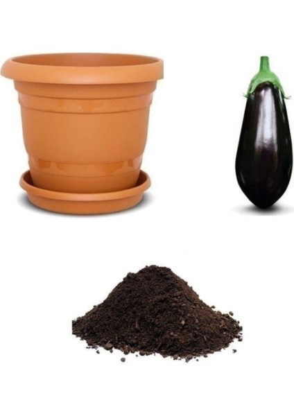 Nadir Ithal Dev Patlıcan Tohumu Ekim Seti