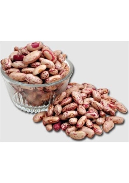 Agrobazaar Barbunya Tohumu 10+ Adet Tohum