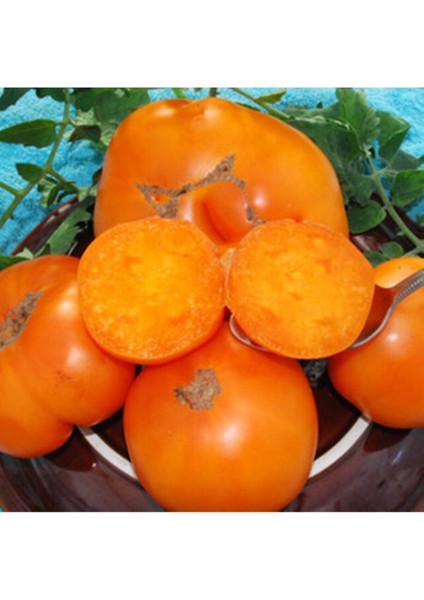 Kellog's Breakfast Domates Tohumu