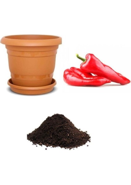 Tatlı Kırmızı Kapya Biberi Tohumu Ekim Seti