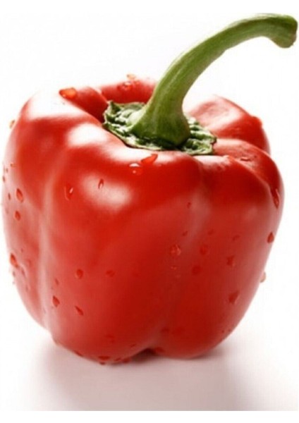 Agrobazaar Kırmızı Dolmalık Biber Tohumu 25+ Adet Tohum