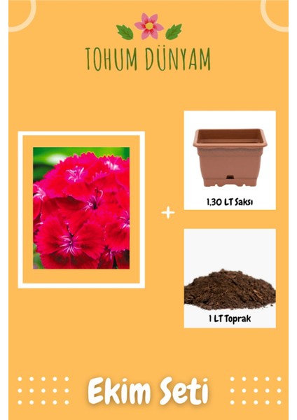 Hüsnüyusuf Çiçeği Tohumu Ekim Seti