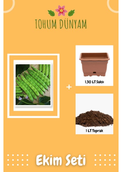 Yerli Sarıkız Fasulye Tohumu Ekim Seti