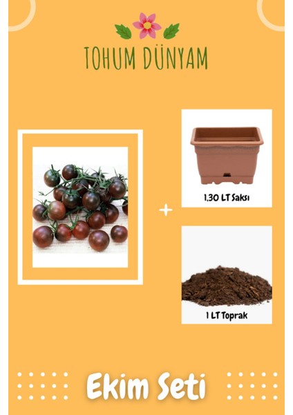 Çikolata Kiraz Domates Tohumu Ekim Seti
