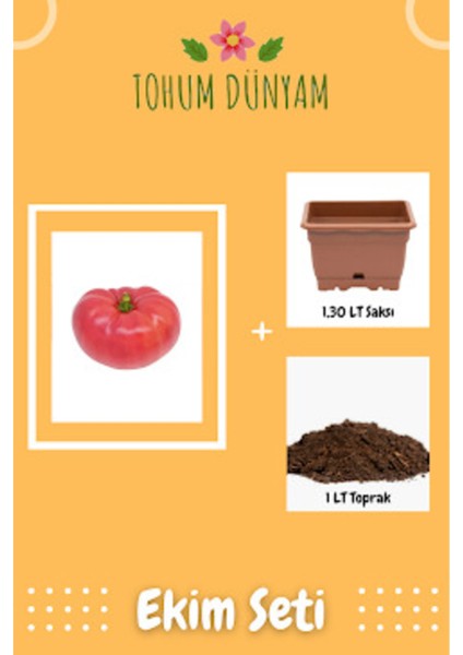 Pembe Biftek Domates Tohumu Ekim Seti