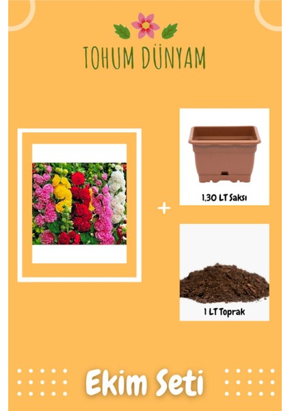 Karışık Renkli Katmerli Gu?l Hatmi Çiçeği Tohumu Ekim Seti