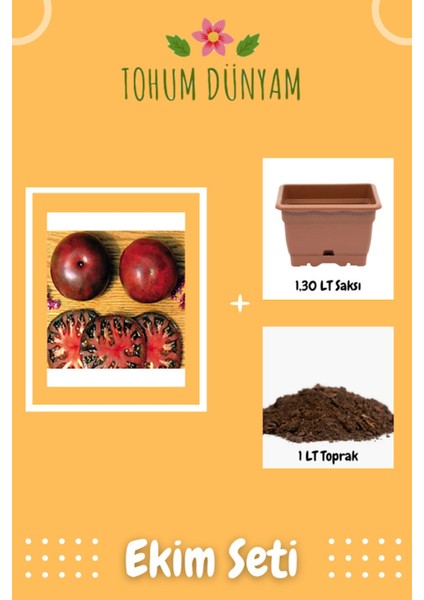 Kızıl Derili Mor Domates Tohumu Ekim Seti