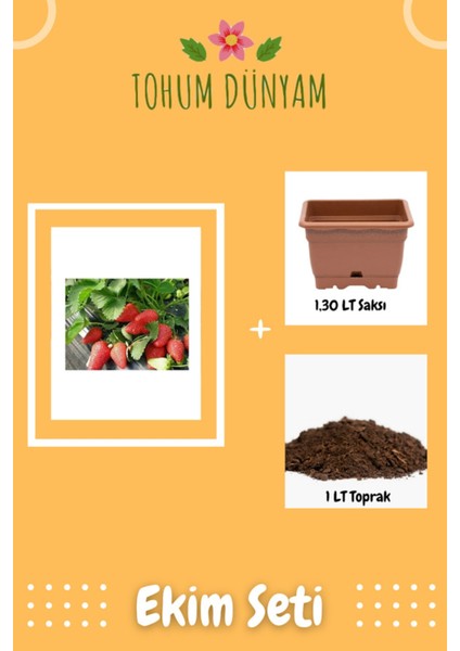 Yediveren Çilek Tohumu Ekim Seti