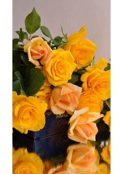 10 Adet Sarı Renkli Gül Çiçeği Tohumu