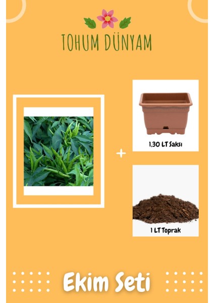 Cin Süs Biber Tohumu Ekim Seti