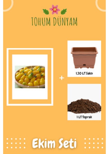 Sarı Ampul Cherry Domates Tohumu Ekim Seti