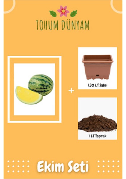 Ithal Nadir Sarı Karpuz Tohumu Ekim Seti