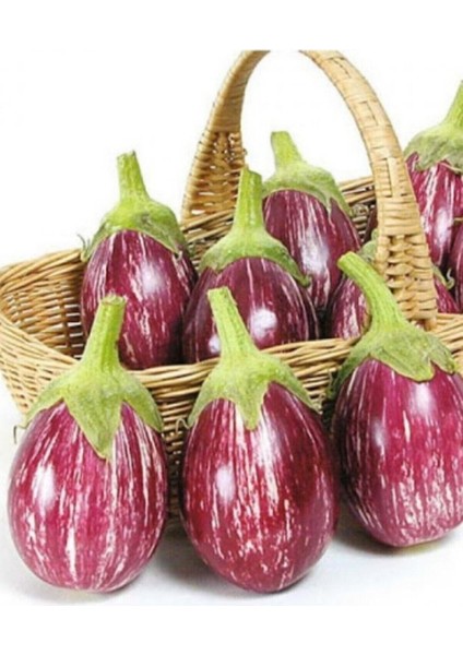 Çizgili Mor Patlıcan Tohumu 50 Adet