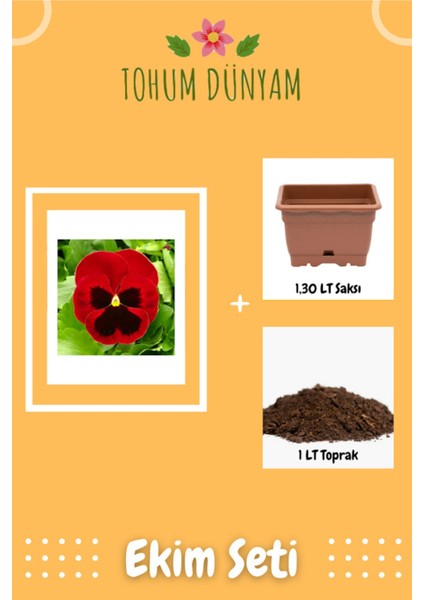 Hercai Menekşe Tohumu Ekim Seti