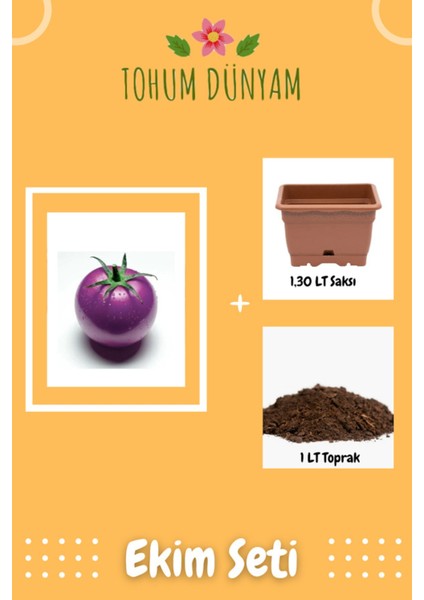 Nadir Ithal Mor Domates Tohumu Ekim Seti