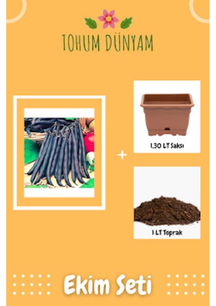 Yediveren Siyah Fasulye Tohumu Ekim Seti
