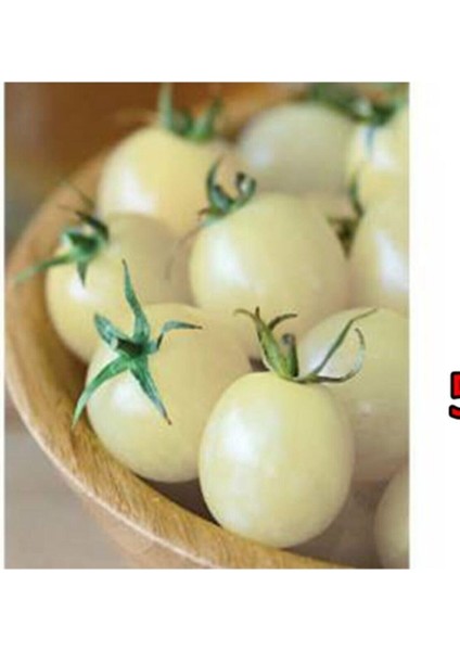20 Adet Saksılık Beyaz Cherry Domates Tohumu