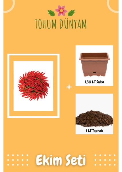 Ithal Çok Acı Macar Biberi Tohumu Ekim Seti