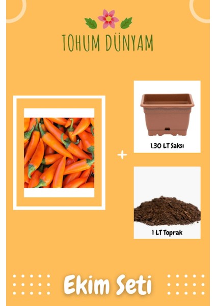Bulgaristan Havuç Acı Biber Tohumu Ekim Seti