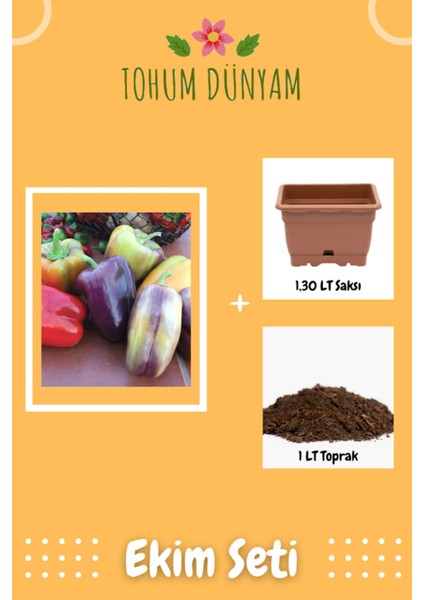 Pinot Noir Sweet Dolmalık Biber Tohumu Ekim Seti