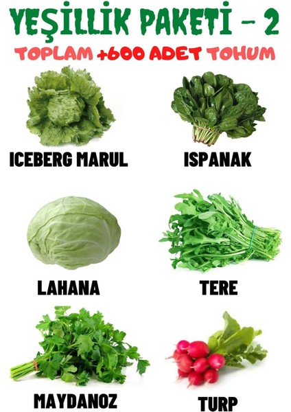 Yeşillik Paketi-2 Iceberg Marul, Ispanak, Lahana, Tere, Maydanoz, Turp, Tohum Seti 600 Adet Tohum