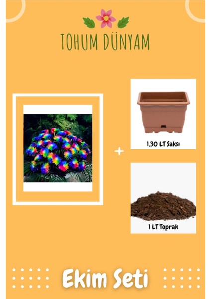 Çok Nadir Himalaya Orkide Çiçeği Tohumu Ekim Seti