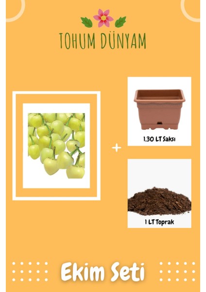 Acı Turşuluk Fındık Biber Tohumu Ekim Seti