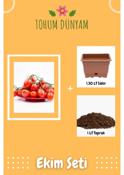 Kırmızı Çeri Domates Tohumu Ekim Seti
