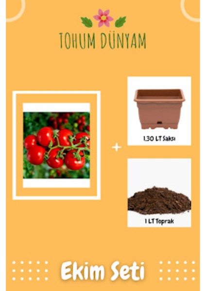 Çeri Pinpon Domates Tohumu Ekim Seti