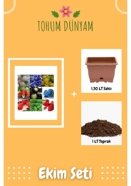 9 Farklı Renkte Çilek Tohumu Ekim Seti