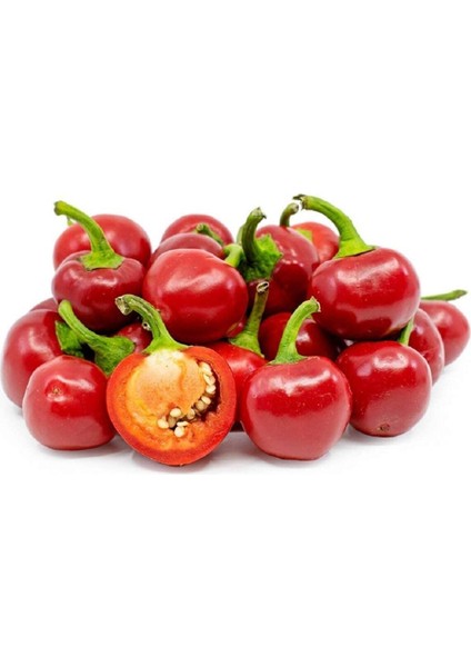 20 Adet Red Sweet Cherry Biber Tohumu