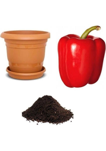 Nadir Dev Kırmızı Dolmalık Biber Tohumu Ekim Seti