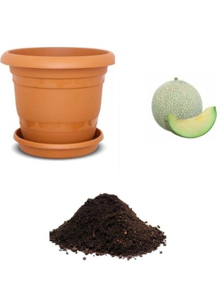 Saksılık Japon Kavunu Tohumu Ekim Seti