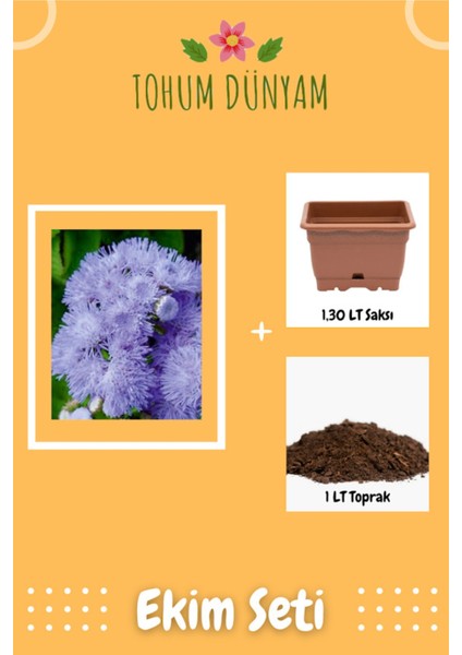 Vapur Dumanı (Ageratum Houstanianum) Çiçek Tohumu Ekim Seti