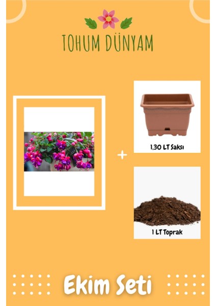 Küpe Çiçeği Tohumu Ekim Seti