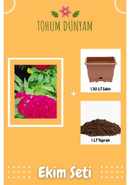 Horozibiği Çiçek Tohumu Ekim Seti