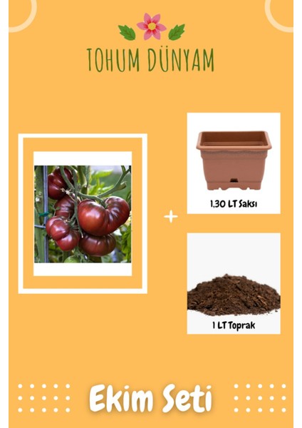 Siyah Kırım Domates Tohumu Ekim Seti